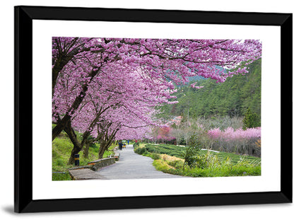 Sakura Garden Taiwan Wall Art