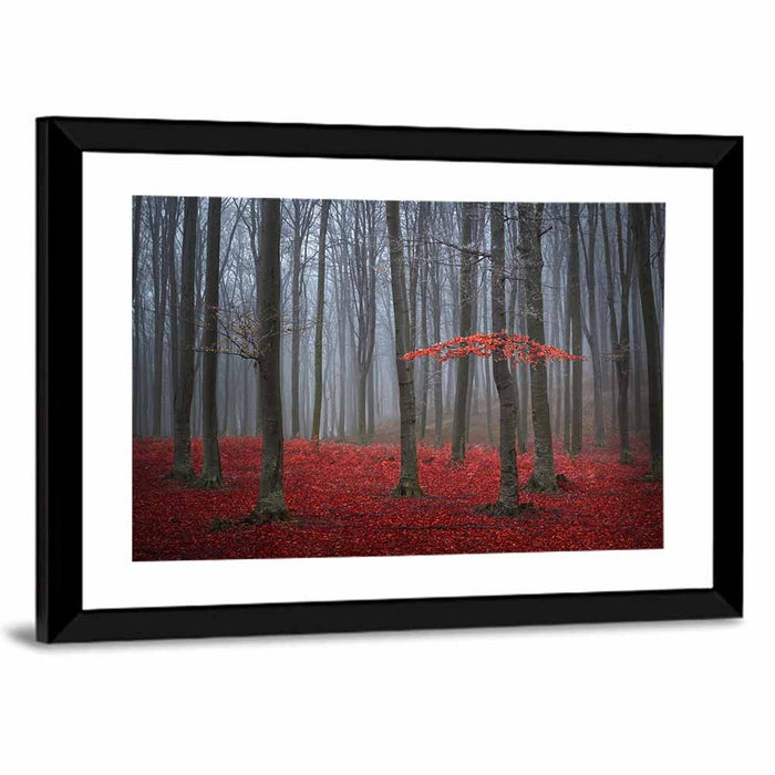 Red Foggy Autumn Forest Wall Art as a framed print