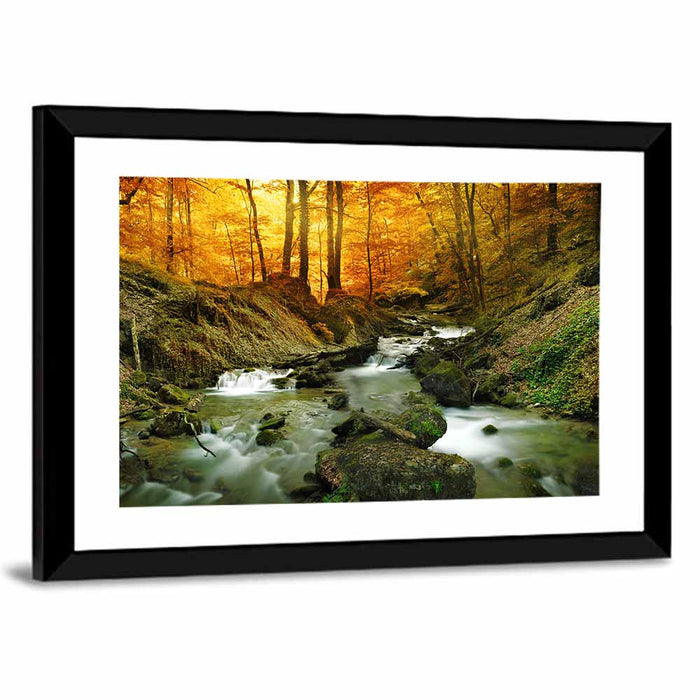 Sunlit Forest Stream Wall Art as a framed print
