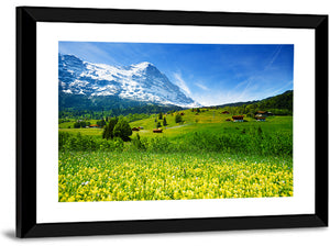 Alps Floral Field Wall Art