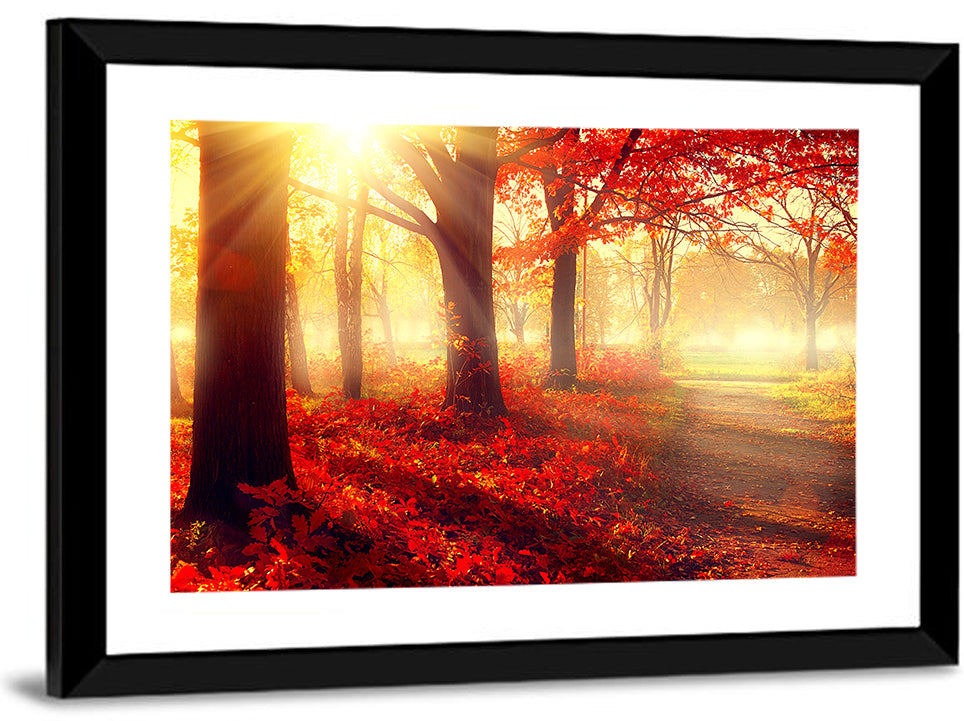 Sunlit Forest Path Wall Art