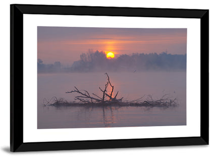 Misty Lake Sunrise Wall Art