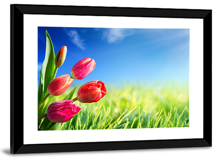 Dewy Red Tulips Under Blue Sky Wall Art as a framed print