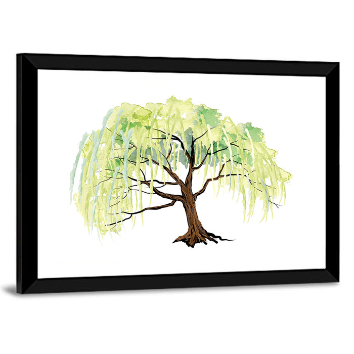 Weeping Willow Watercolor Sketch Wall Art as a framed print