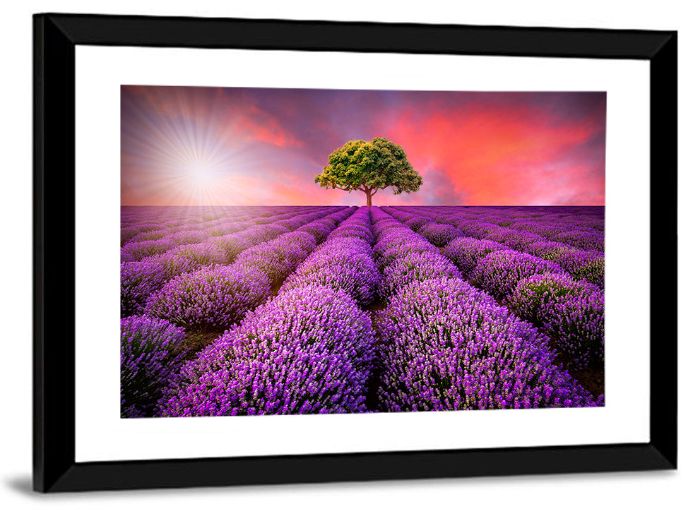 Lavender Field Sunset Wall Art