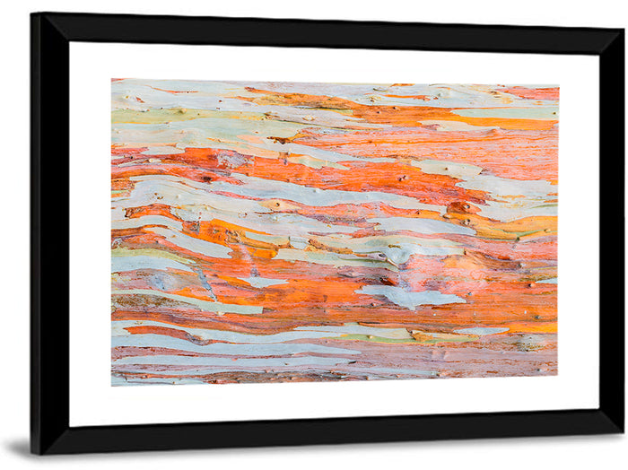 Abstract Eucalyptus Bark Layers Wall Art as a framed print