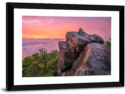 Pine Mountain Trail Wall Art