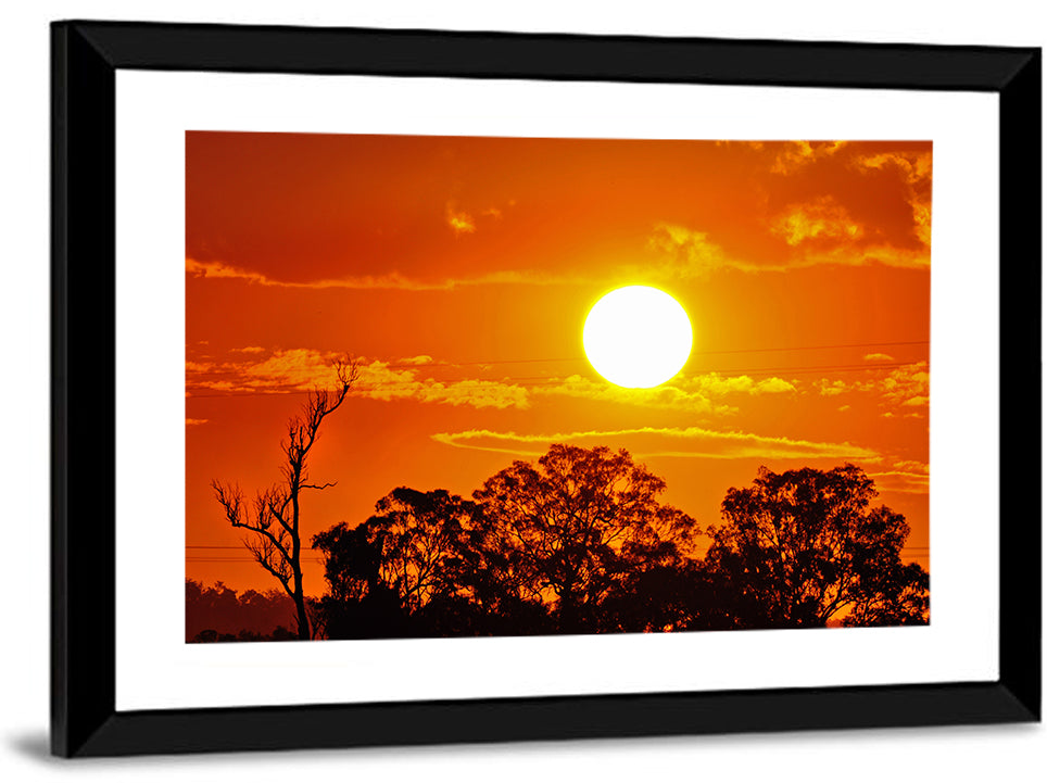Burning Sun Over Tree Silhouettes Wall Art