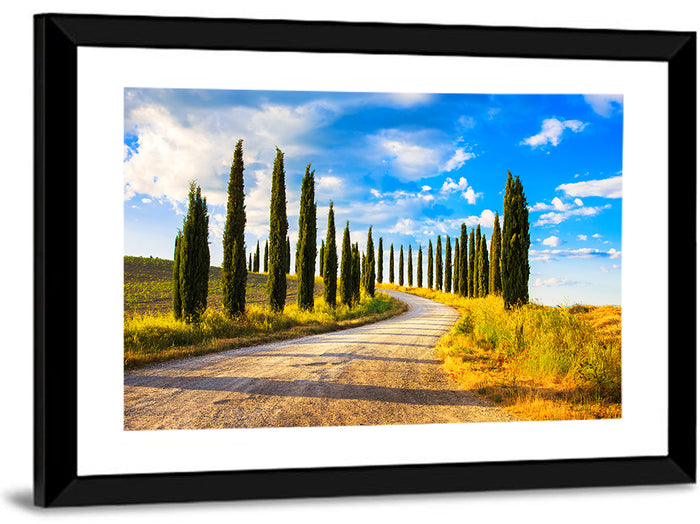 Sunlit Tuscany Cypress Road Wall Art as a framed print
