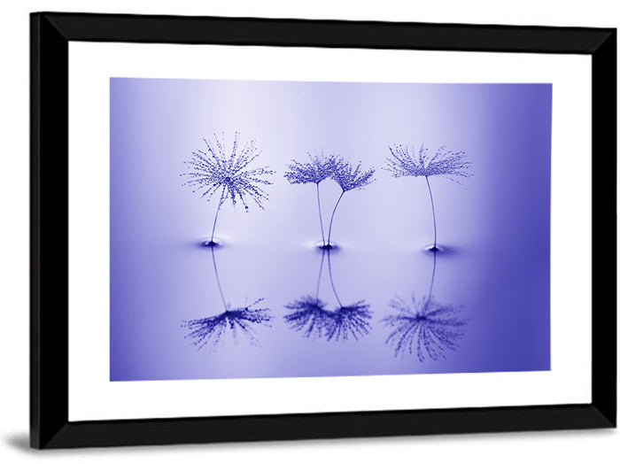 Blue Dandelion Seeds with Reflections Wall Art as a framed print