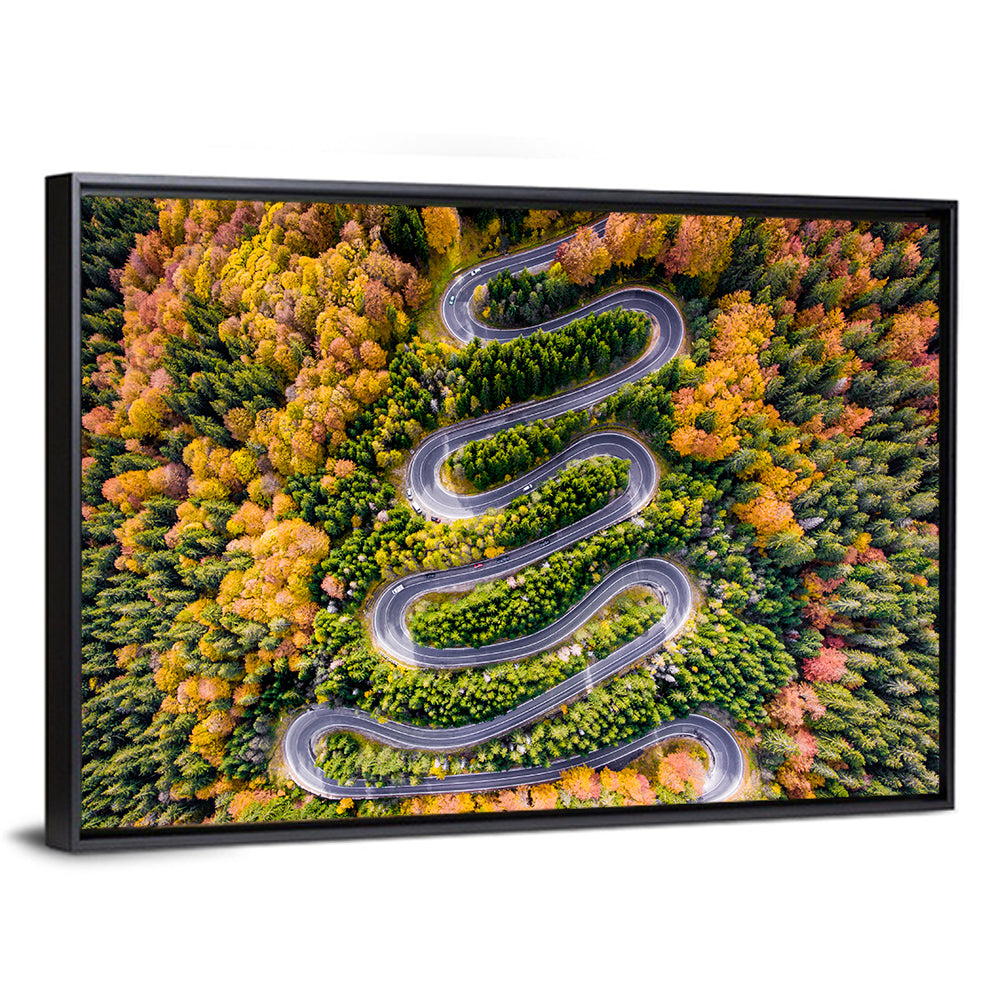 Autumn Winding Forest Road Wall Art