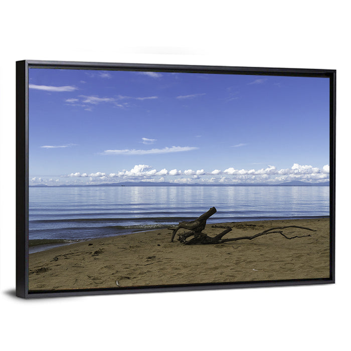 Shallow Lake Khanka Wall Art as a framed canvas