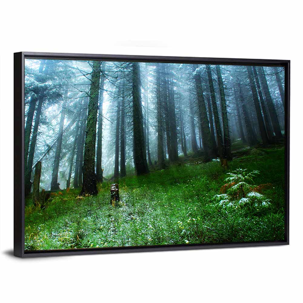 Misty Green Pine Forest Wall Art
