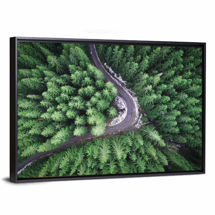 Aerial Forest Road Wall Art as a framed canvas