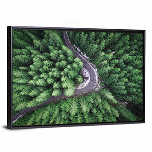 Forest From Drone Wall Art