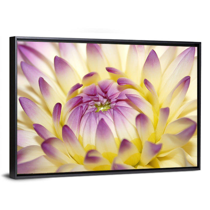 Dahlia Macro Portrait Wall Art as a framed canvas