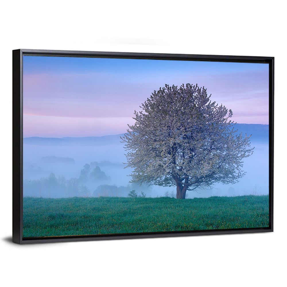 Misty Sumava Mountain Tree Wall Art