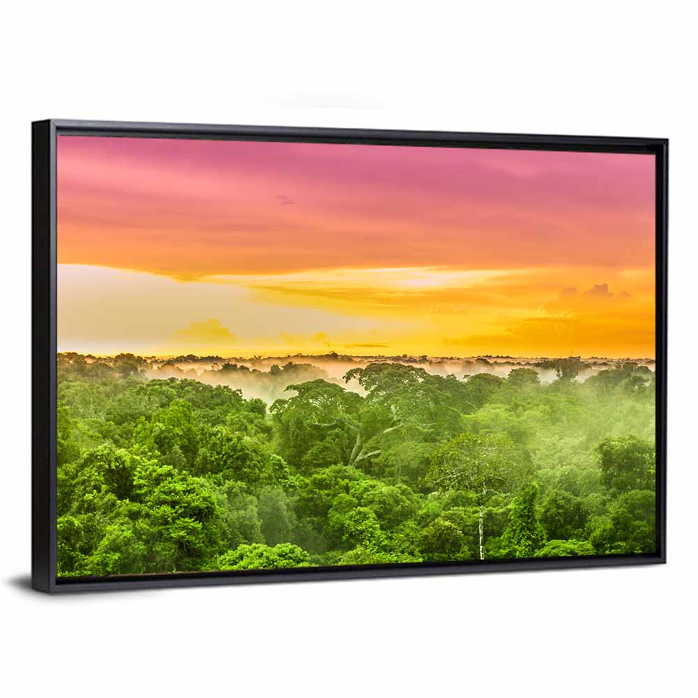 Amazon Rainforest Sunset Canopy Wall Art