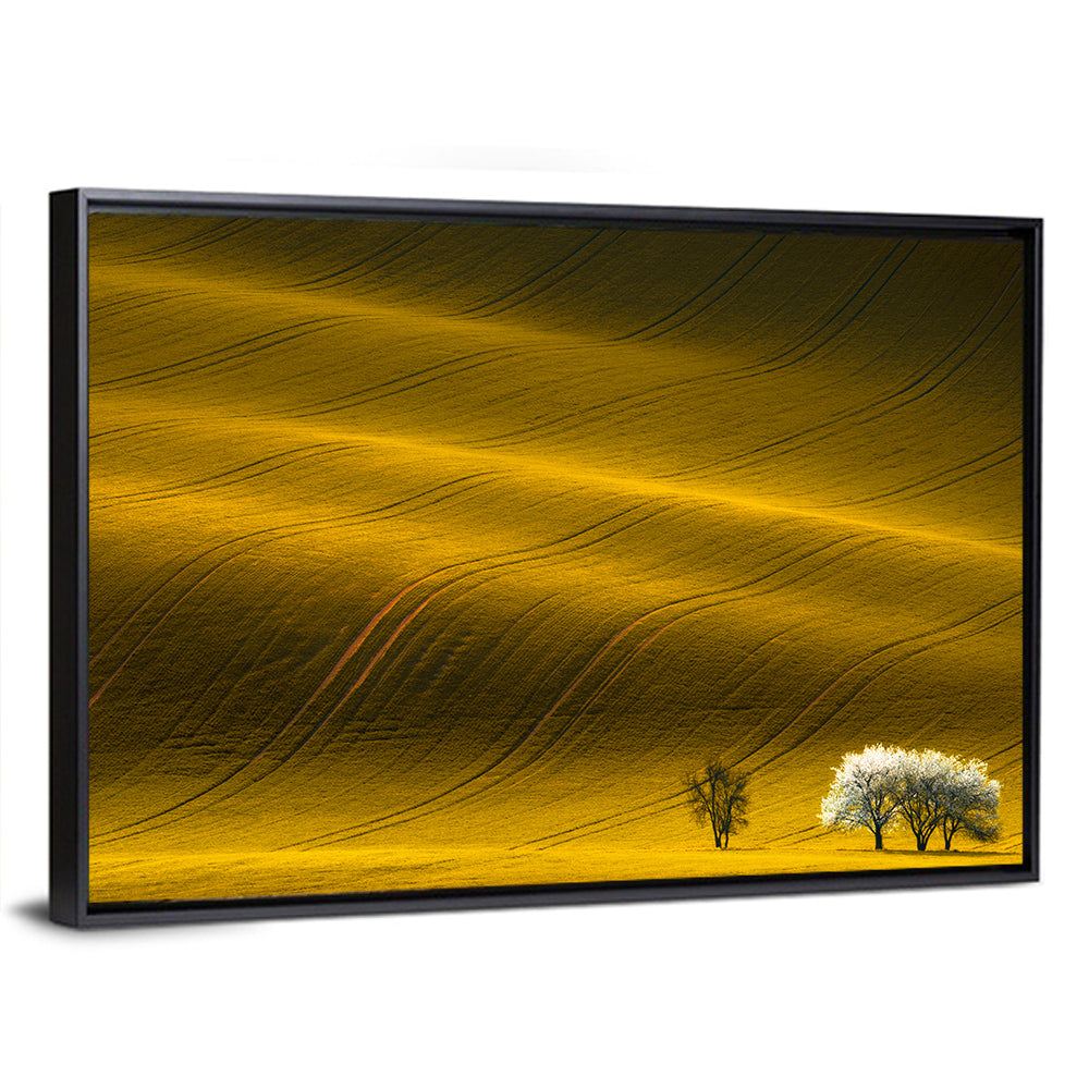 Golden Hour Rapeseed Field Wall Art