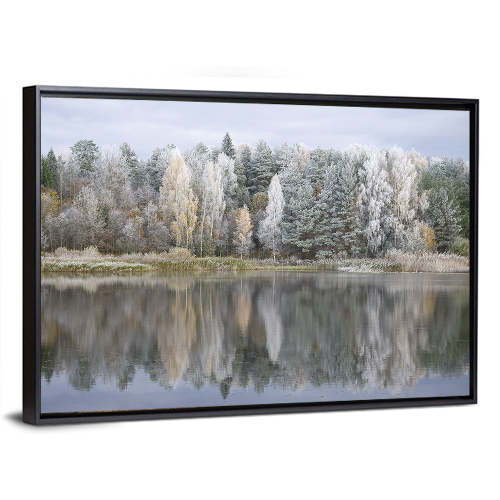 Forest Lake Pskov Region Wall Art