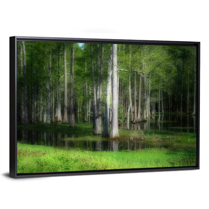 Lush Cypress Swamp Wall Art as a framed canvas