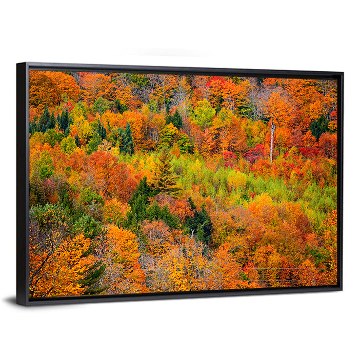 Vermont Autumn Mountain Forest Wall Art as a framed canvas