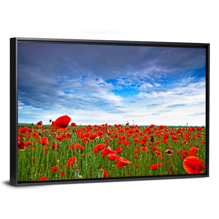 Red Poppy Field Wall Art as a framed canvas