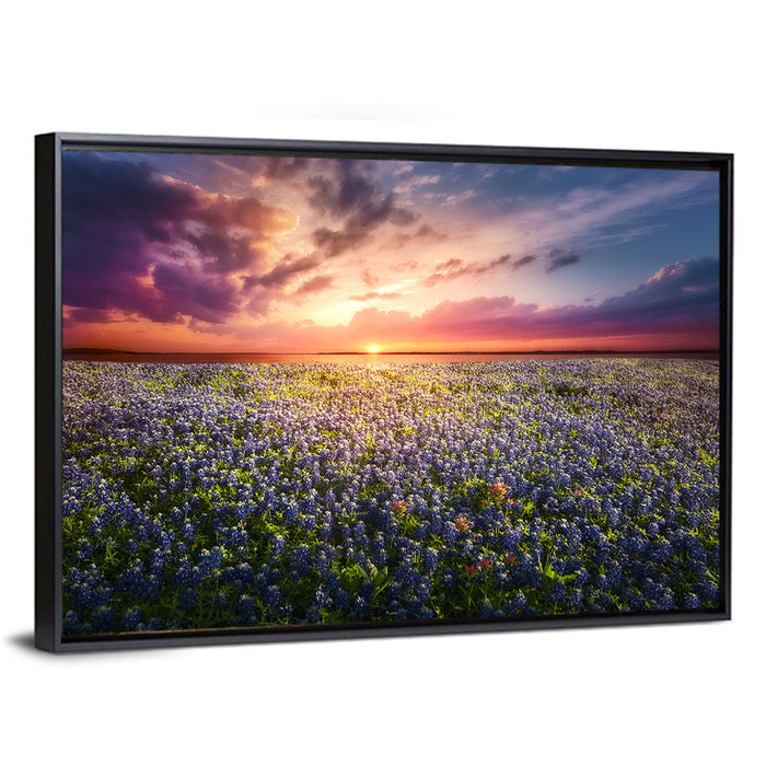 Texas Bluebonnet Sunset Wall Art as a framed canvas