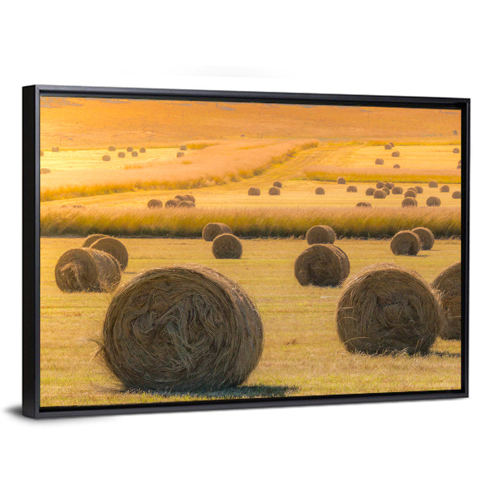 Hay Bales Field Wall Art