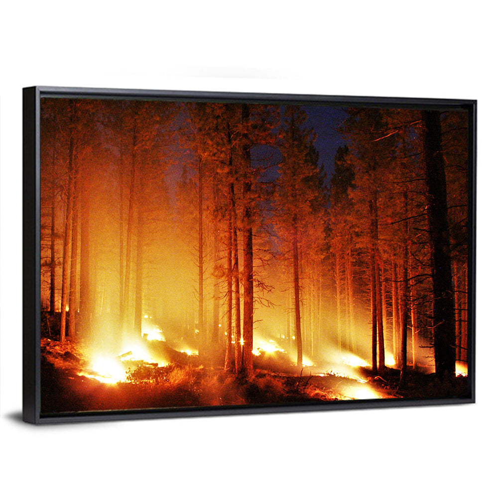 Night Forest Fire Wall Art