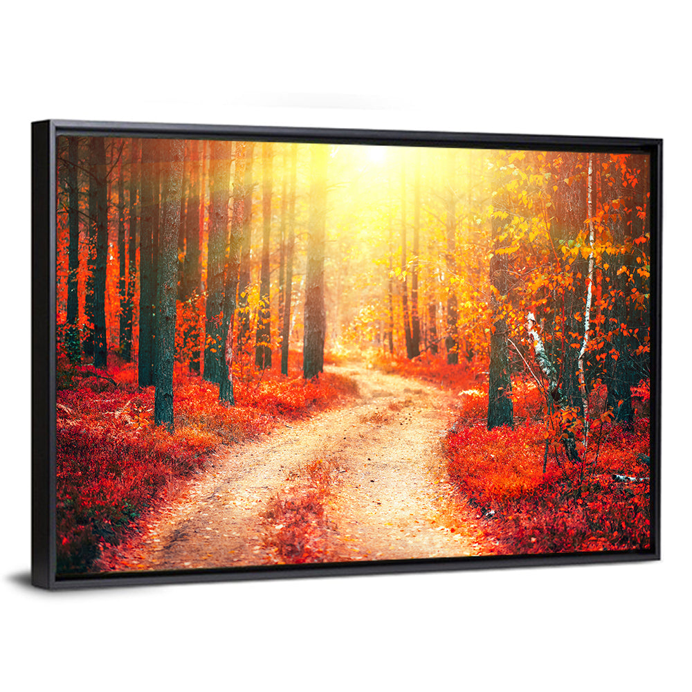 Golden Path Through Autumn Woods Wall Art