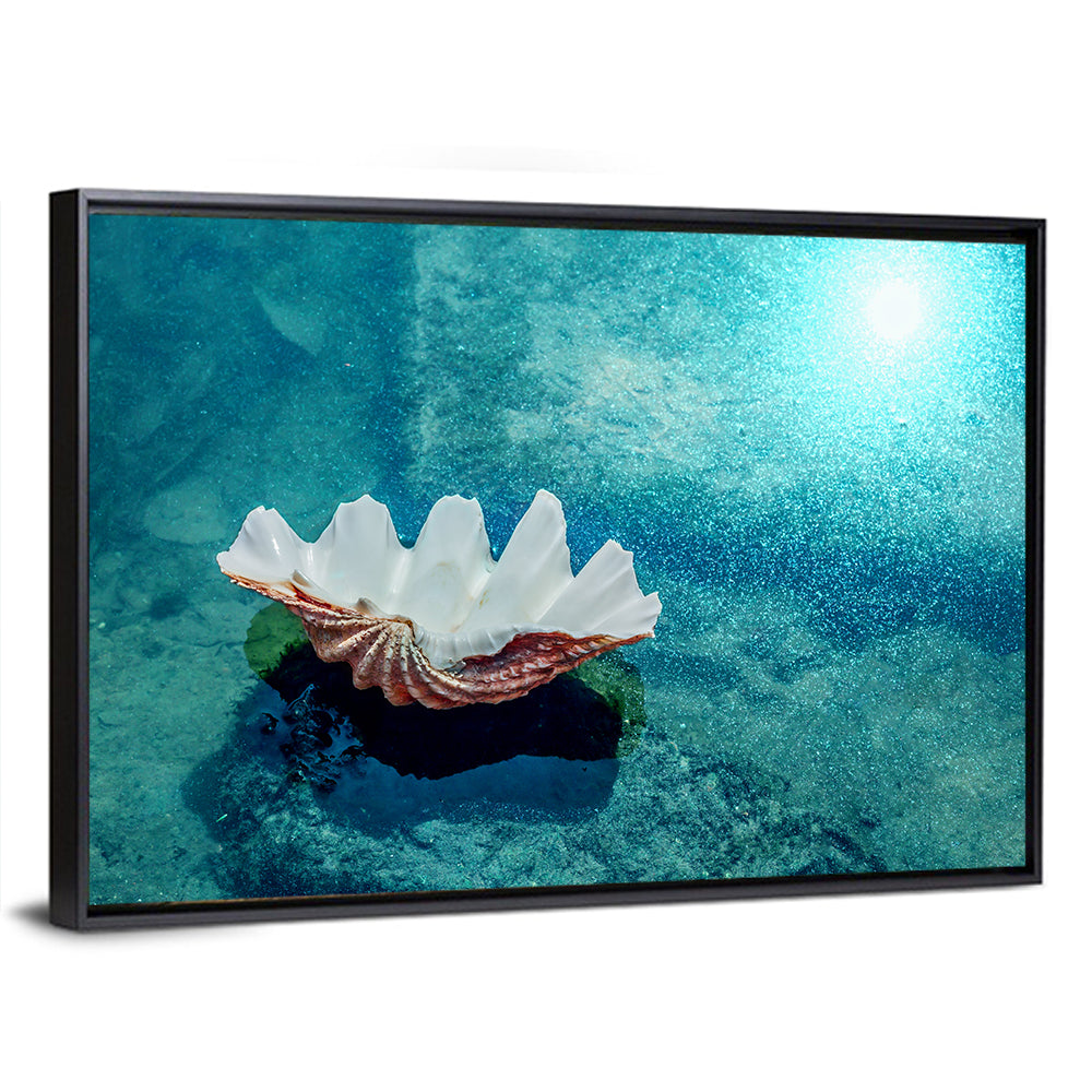 Giant Clam Shell Wall Art