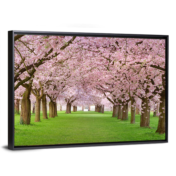 Cherry Blossom Avenue Wall Art as a framed canvas