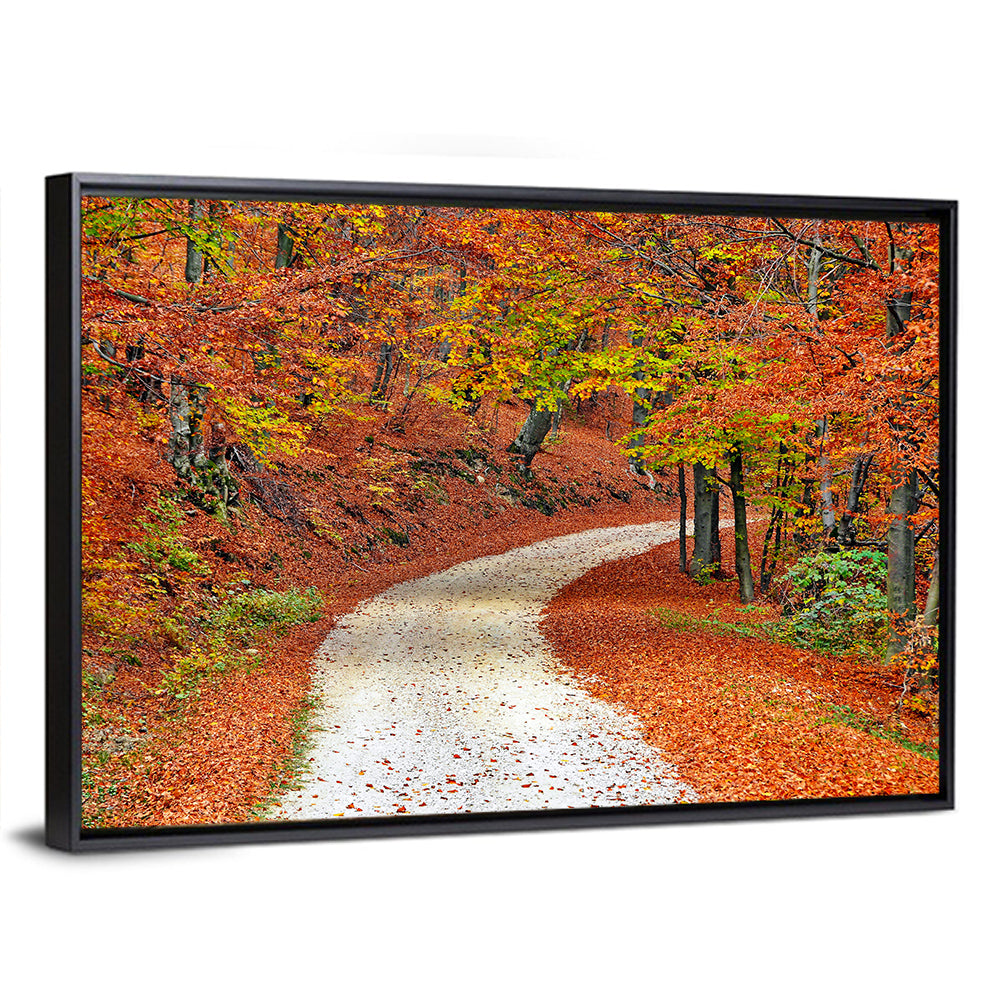 Misty Gravel Path Through Autumn Trees Wall Art