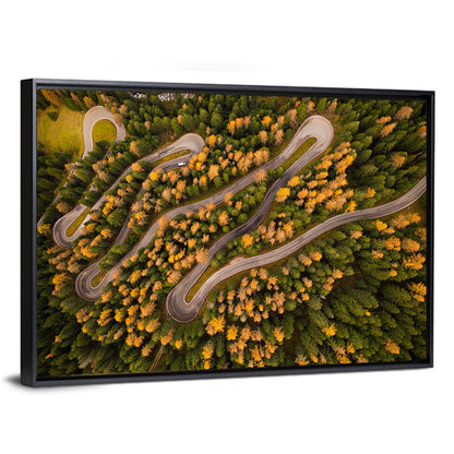 Curvy Forest Road Wall Art