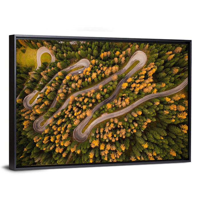 Aerial Curvy Forest Road Wall Art as a framed canvas