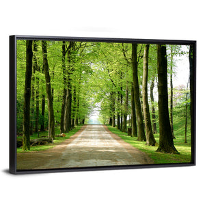 Forest Walking Path Wall Art