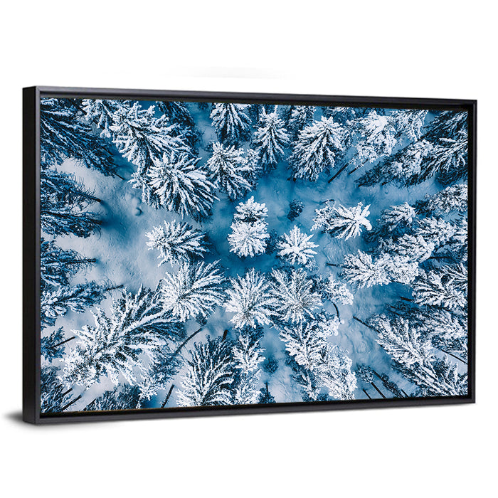 Aerial Snowy Evergreen Canopy Wall Art as a framed canvas