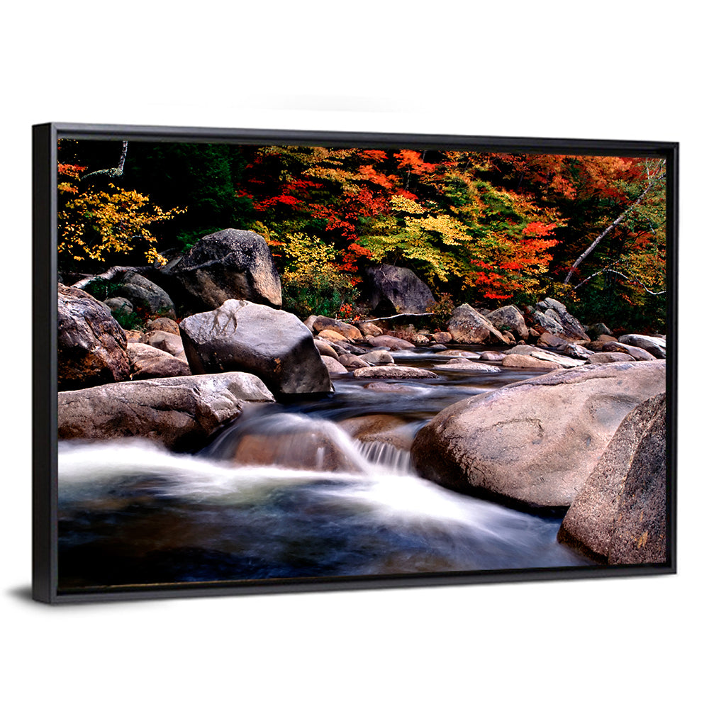 New Hampshire Autumn Stream Wall Art
