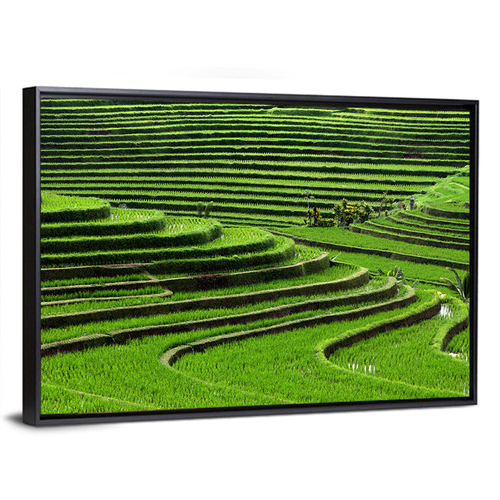 Lush Rice Terraces Wall Art as a framed canvas