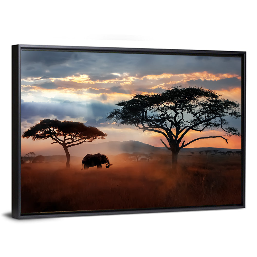 Savanna Elephant at Sunset Wall Art