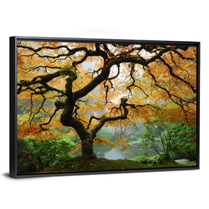 Japanese Autumn Maple Wall Art