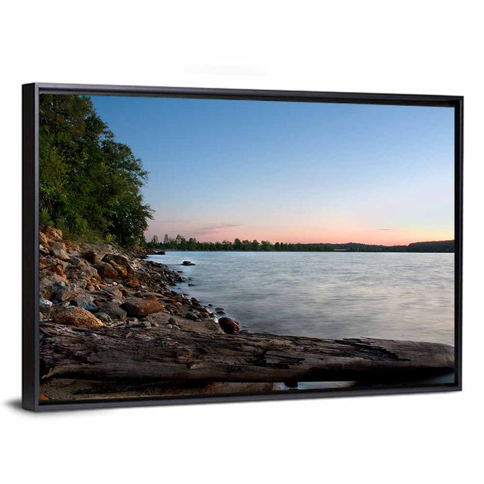 Lake Hartwell Driftwood Shoreline Wall Art as a framed canvas