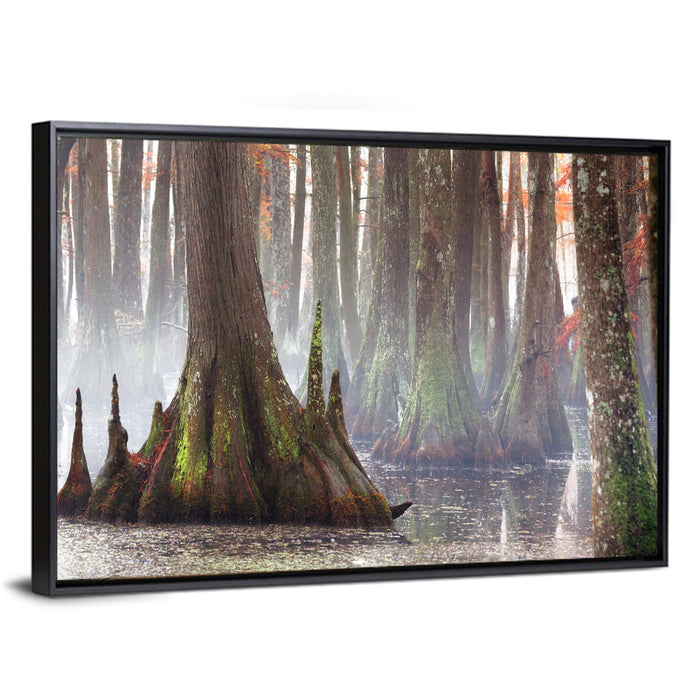 Chicot State Park Morning Fog Wall Art as a framed canvas
