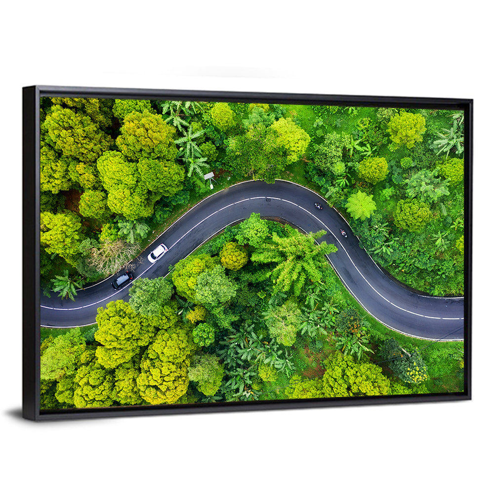 Winding Tropical Forest Road Wall Art