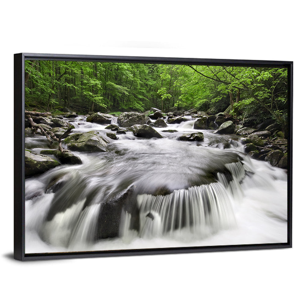 Smoky Mountains Cascading Stream Wall Art