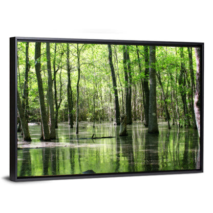 Green Swamp Forest Wall Art