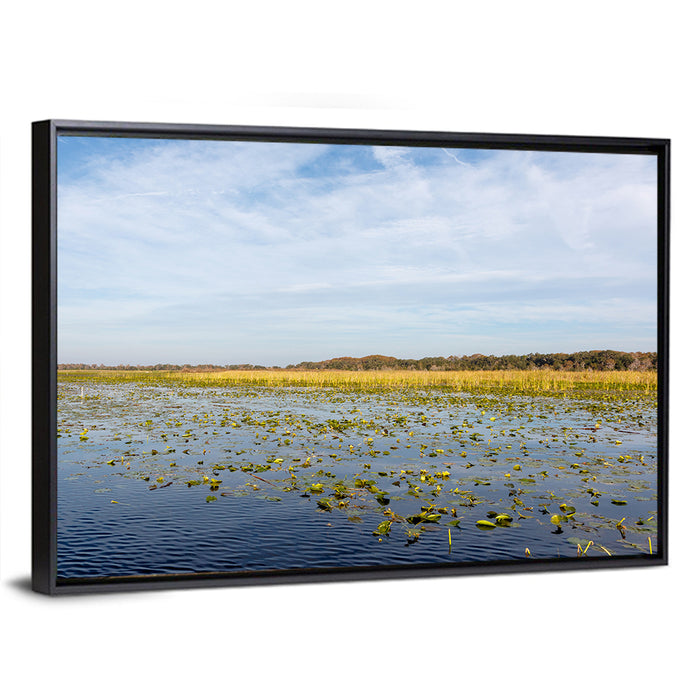 Lake Toho Lily Pads Wall Art as a framed canvas