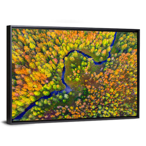 Autumn Forest River Wall Art