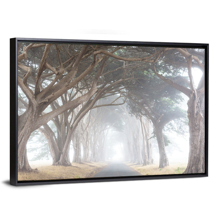 Misty Cypress Tunnel Wall Art as a framed canvas